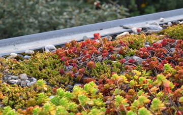 the cost of Friars Cliff green roof installation