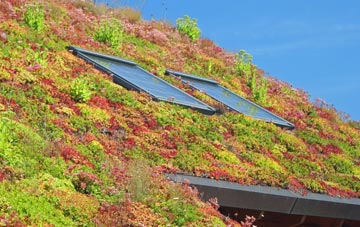 Friars Cliff living roof systems