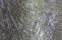 Friars Cliff fibreglass roof work