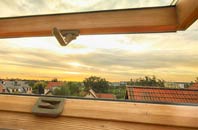 rated Friars Cliff roof window companies